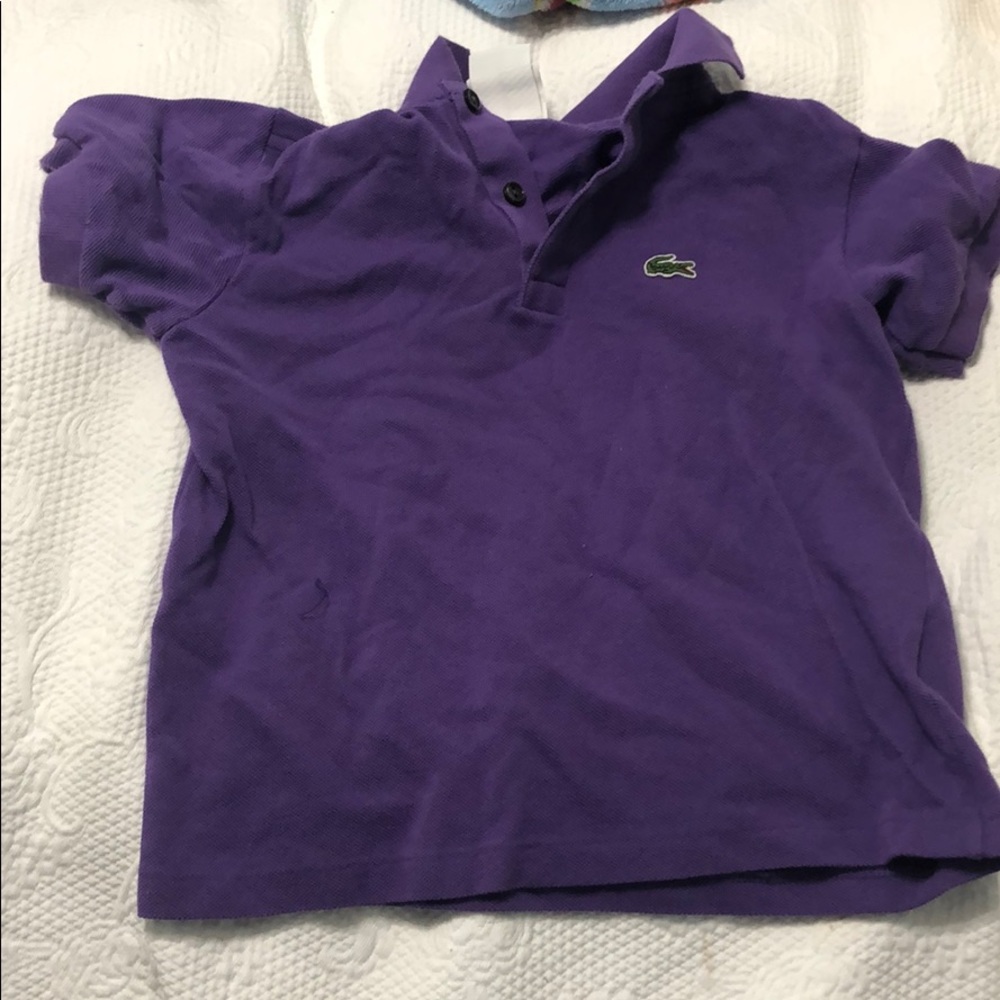 lacoste purple collared T-shirt